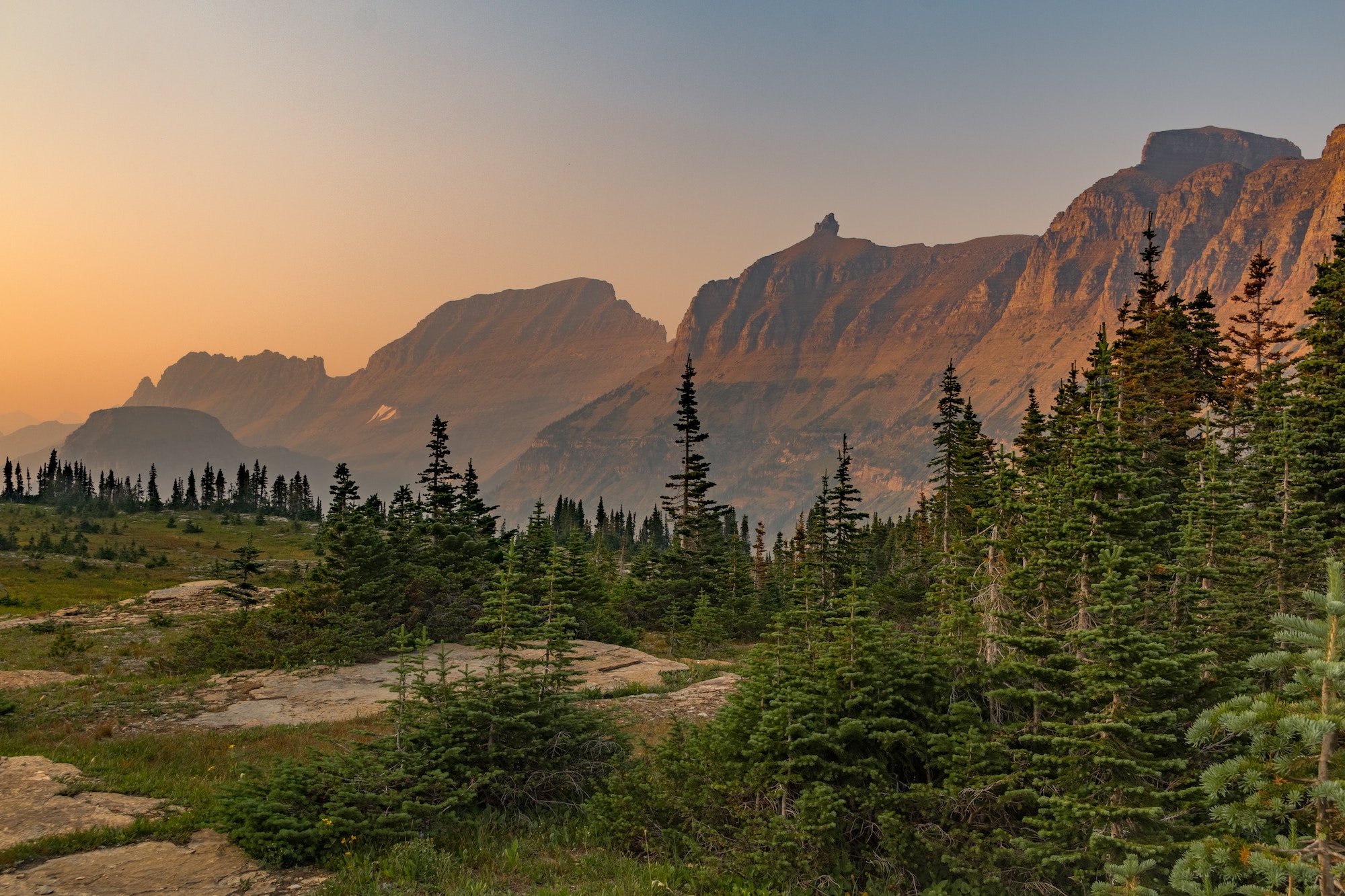 The Forest Hiker Tour 3